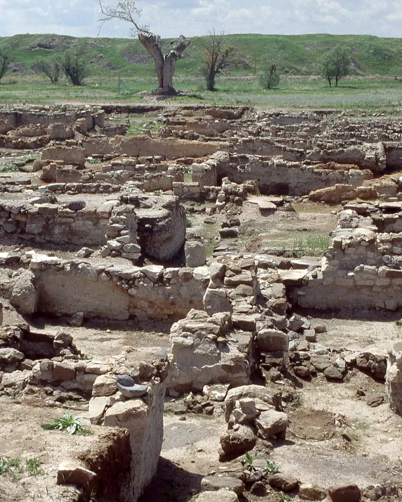 Kültepe–Kaneš